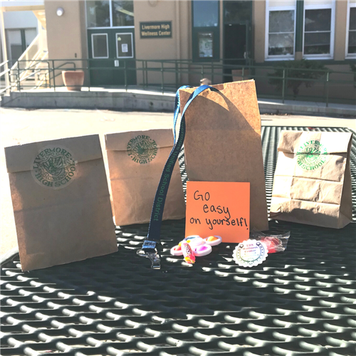 Wellness Bags